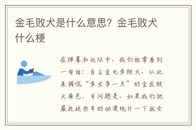 金毛败犬是什么意思？金毛败犬什么梗