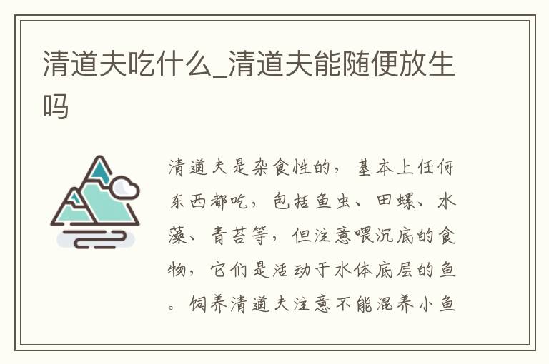 清道夫吃什么_清道夫能随便放生吗