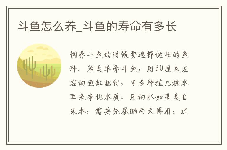 斗鱼怎么养_斗鱼的寿命有多长