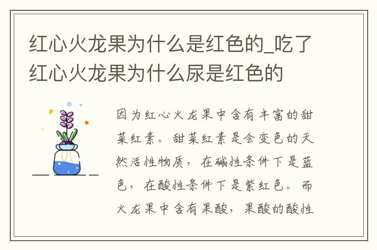 红心火龙果为什么是红色的_吃了红