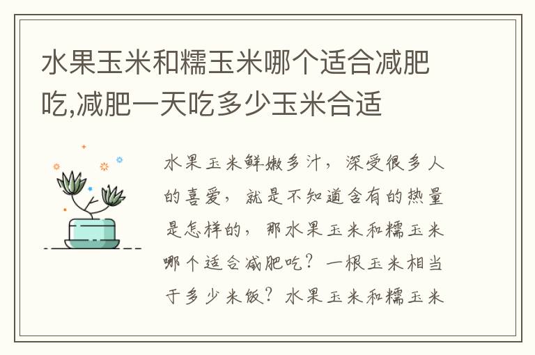 水果玉米和糯玉米哪个适合减肥吃,减肥一天吃多少玉米合适