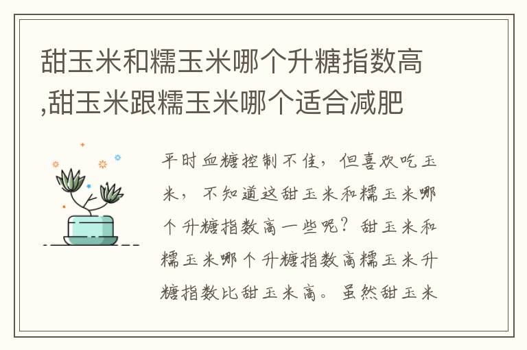 甜玉米和糯玉米哪个升糖指数高,甜玉米跟糯玉米哪个适合减肥