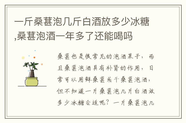 一斤桑葚泡几斤白酒放多少冰糖,桑葚泡酒一年多了还能喝吗