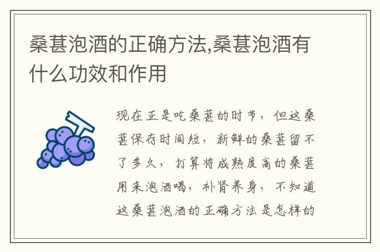 桑葚泡酒的正确方法,桑葚泡酒有什