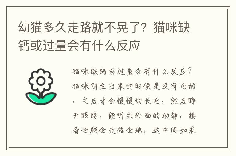 幼猫多久走路就不晃了？猫咪缺钙或过