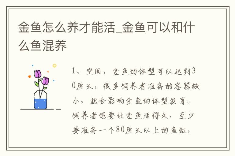 金鱼怎么养才能活_金鱼可以和什么鱼混养