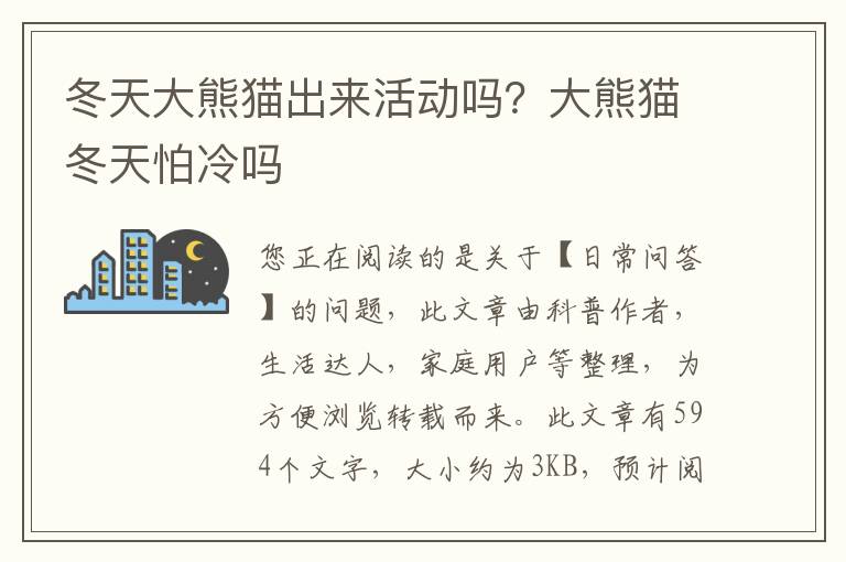 冬天大熊猫出来活动吗？大熊猫冬天怕冷吗