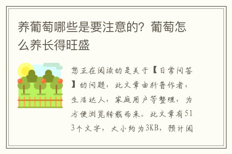 养葡萄哪些是要注意的？葡萄怎么养长得旺盛