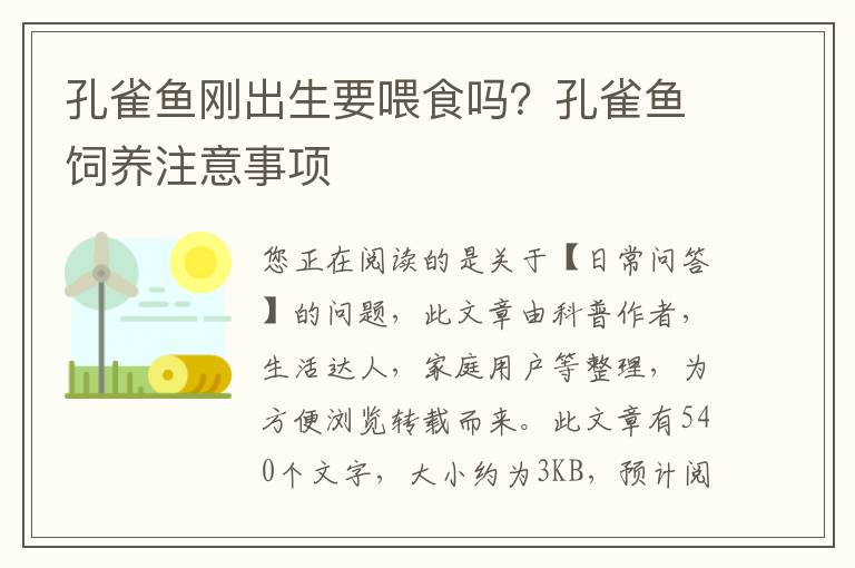 孔雀鱼刚出生要喂食吗？孔雀鱼饲养注意事项