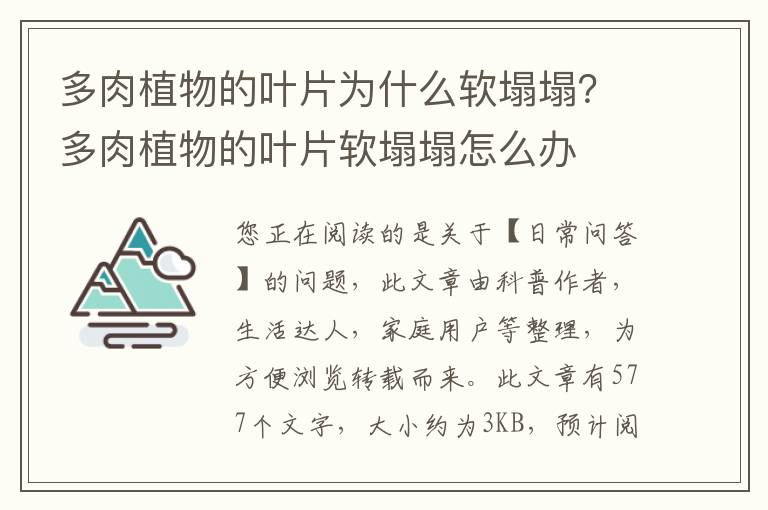 多肉植物的叶片为什么软塌塌？多肉植物的叶片软塌塌怎么办