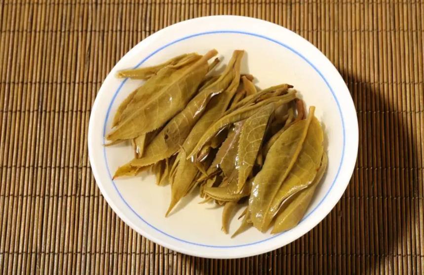 普洱茶的鉴别——生茶篇（普洱茶生茶的汤色鉴别）