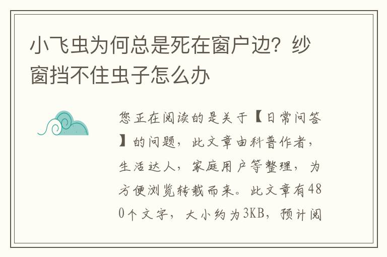 小飞虫为何总是死在窗户边？纱窗挡不住虫子怎么办