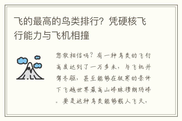 飞的最高的鸟类排行？凭硬核飞行能力与飞机相撞