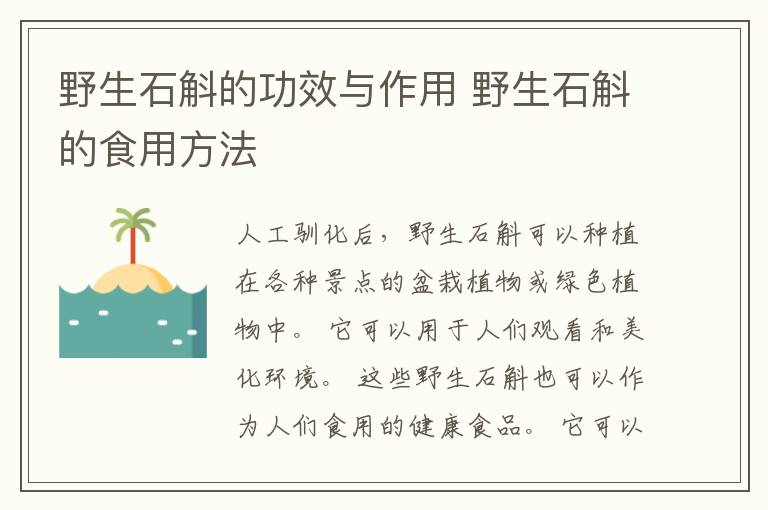 野生石斛的功效与作用 野生石斛的食用方法