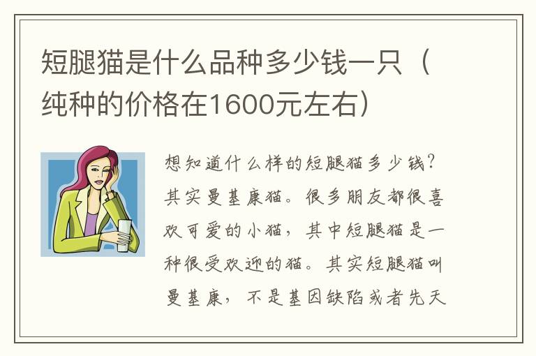 短腿猫是什么品种多少钱一只（纯种的价格在1600元左右）