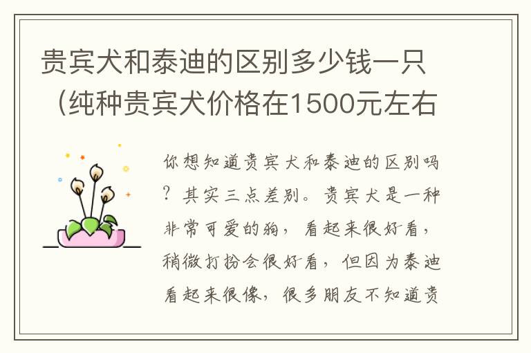 贵宾犬和泰迪的区别多少钱一只（纯种贵宾犬价格在1500元左右）