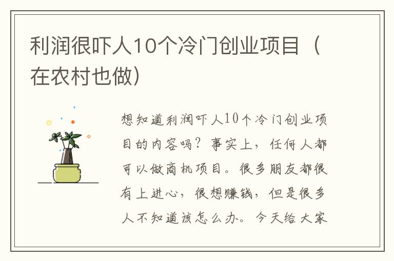 利润很吓人10个冷门创业项目（在农村也做）