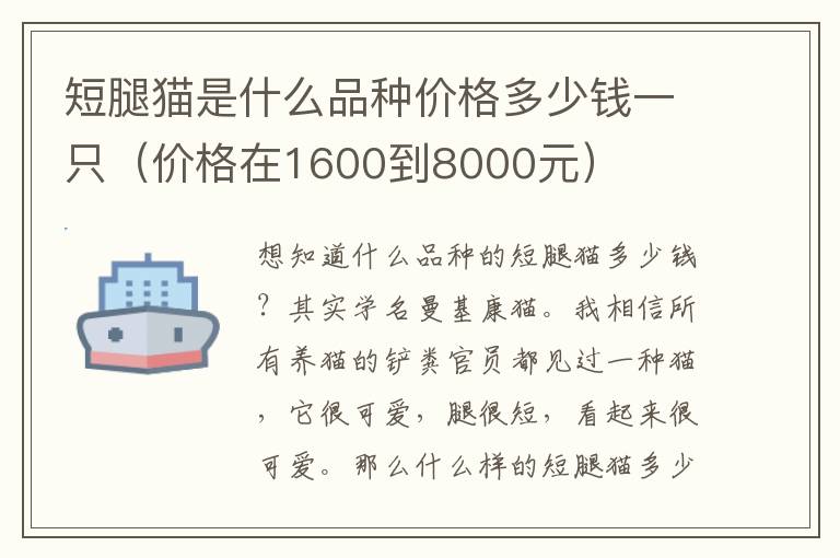 短腿猫是什么品种价格多少钱一只（价格在1600到8000元）