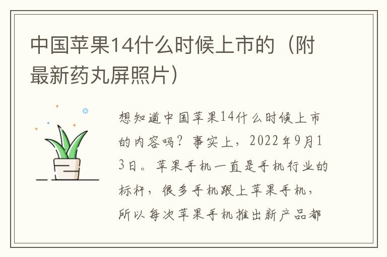 中国苹果14什么时候上市的（附最新药丸屏照片）