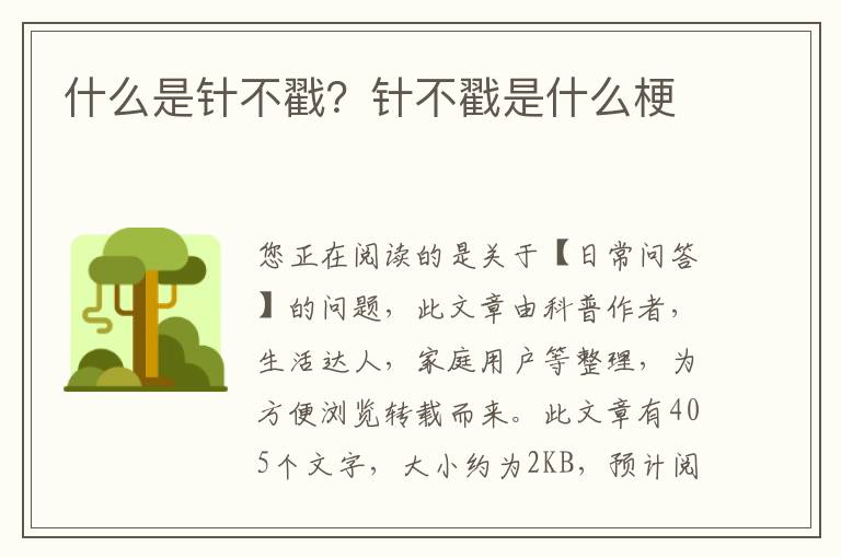 什么是针不戳？针不戳是什么梗