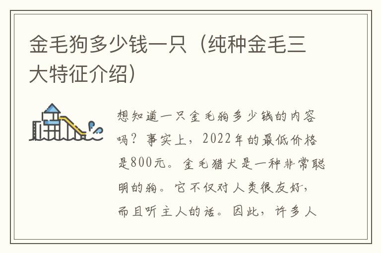 金毛狗多少钱一只（纯种金毛三大特征介绍）