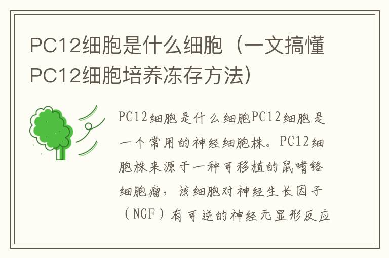 PC12细胞是什么细胞（一文搞懂PC12细胞培养冻存方法）