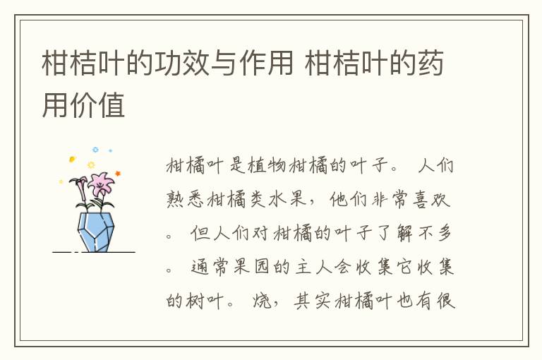 柑桔叶的功效与作用 柑桔叶的药用价值