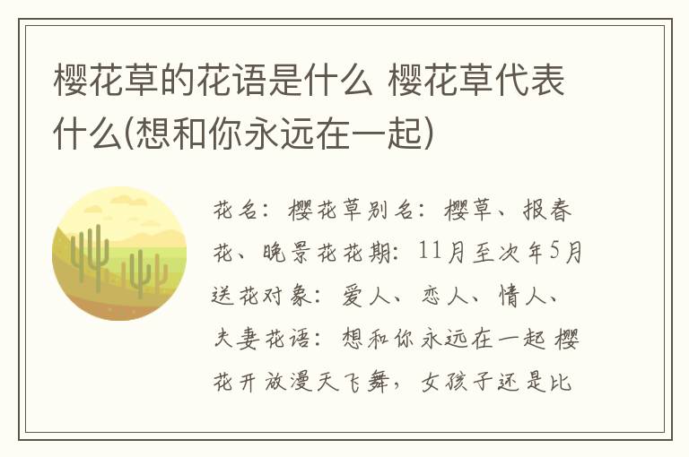 樱花草的花语是什么 樱花草代表什么(想和你永远在一起)