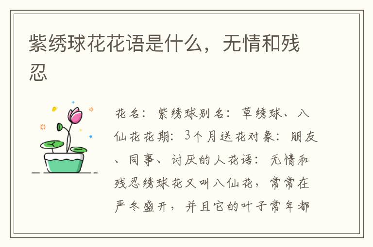 紫绣球花花语是什么，无情和残忍