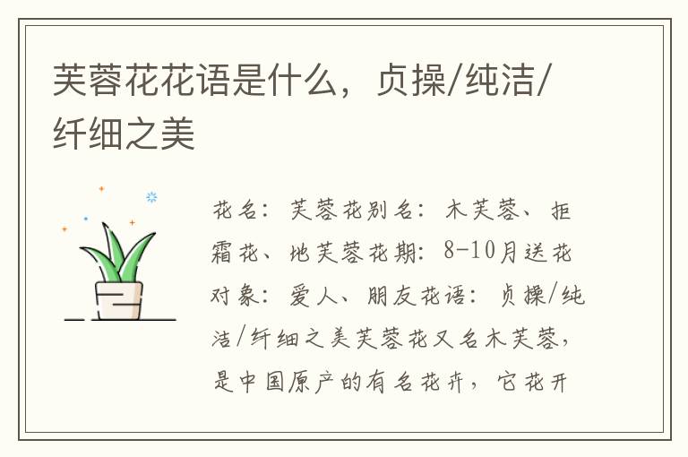 芙蓉花花语是什么，贞操/纯洁/纤细之美