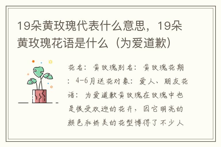 19朵黄玫瑰代表什么意思，19朵黄玫瑰花语是什么（为爱道歉）