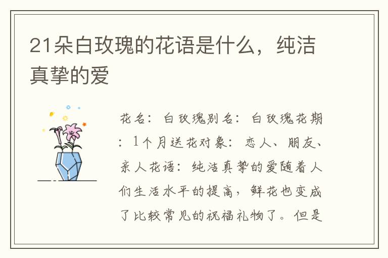 21朵白玫瑰的花语是什么，纯洁真挚的爱