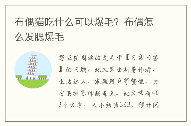 布偶猫吃什么可以爆毛？布偶怎么发腮爆毛