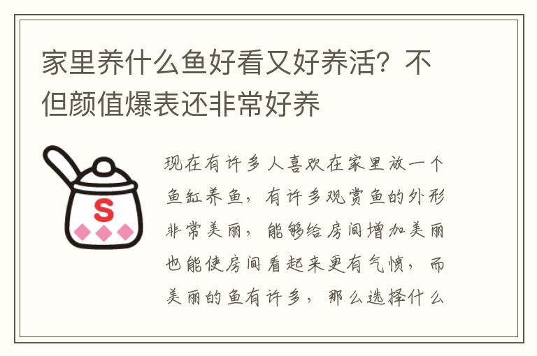 家里养什么鱼好看又好养活？不但颜值爆表还非常好养