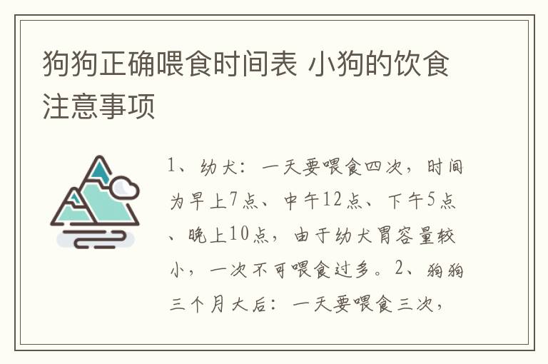 狗狗正确喂食时间表 小狗的饮食注意事项