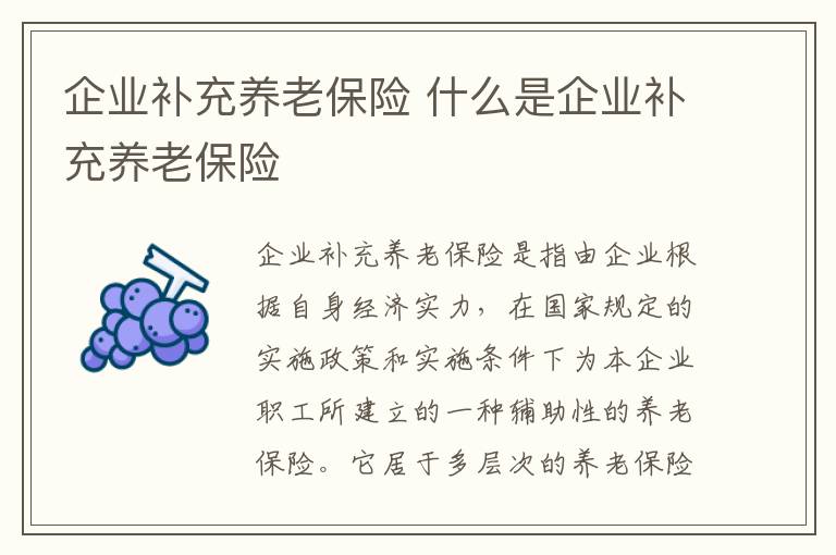 企业补充养老保险 什么是企业补充养老保险