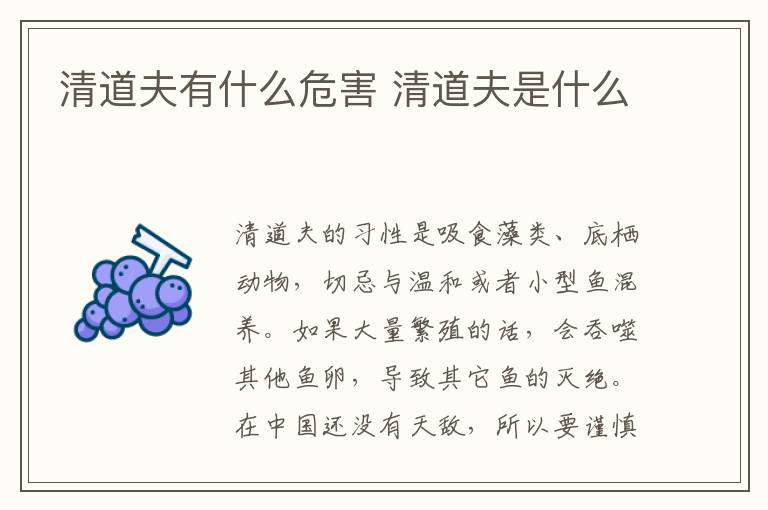 清道夫有什么危害 清道夫是什么