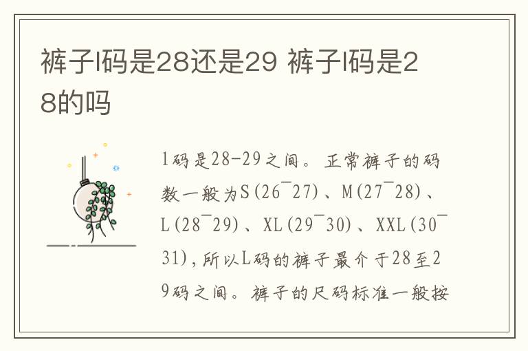 裤子l码是28还是29 裤子l码是28的吗