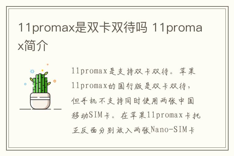 11promax是双卡双待吗 11promax简介