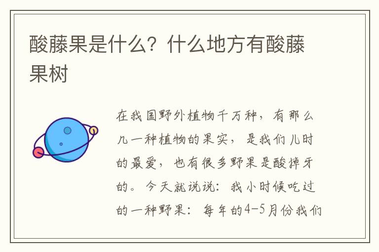 酸藤果是什么？什么地方有酸藤果树