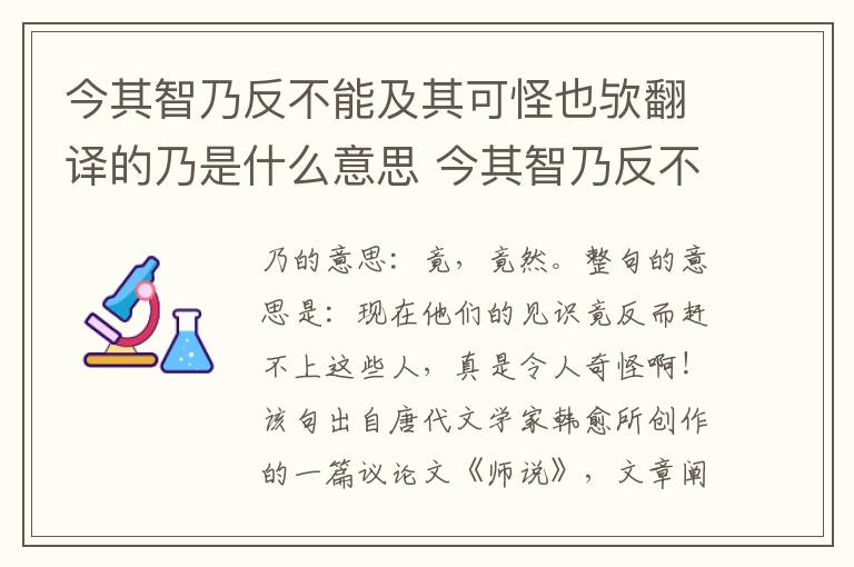 今其智乃反不能及其可怪也欤翻译的乃是什么意思 今其智乃反不能及其可怪也欤翻译