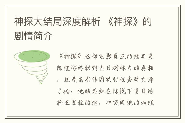 神探大结局深度解析 《神探》的剧情简介