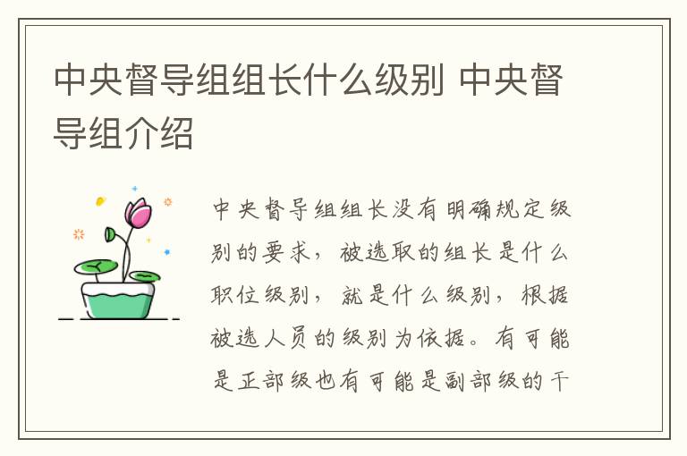 中央督导组组长什么级别 中央督导组介绍