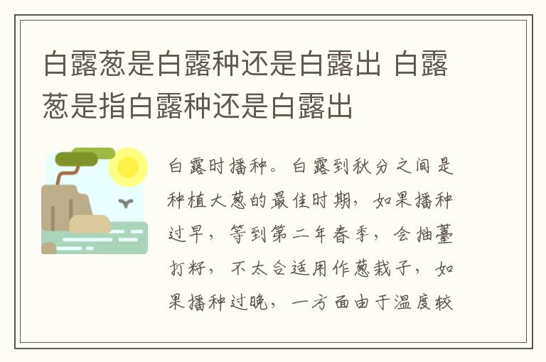 白露葱是白露种还是白露出 白露葱是指白露种还是白露出