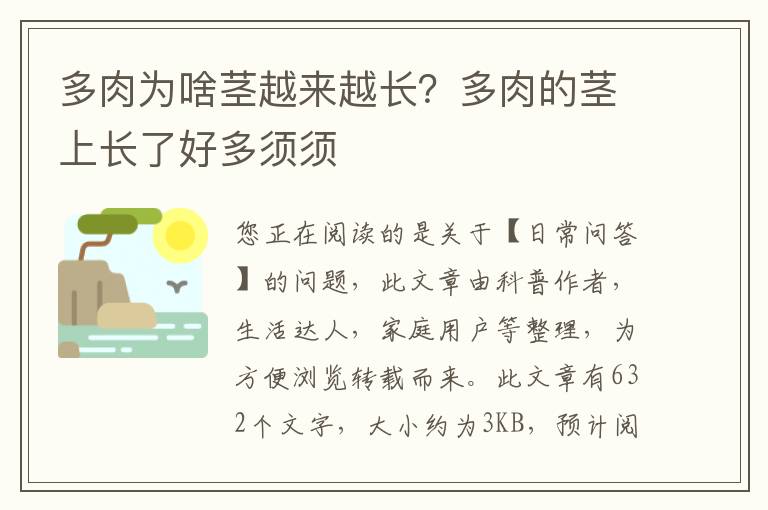 多肉为啥茎越来越长？多肉的茎上长了好多须须