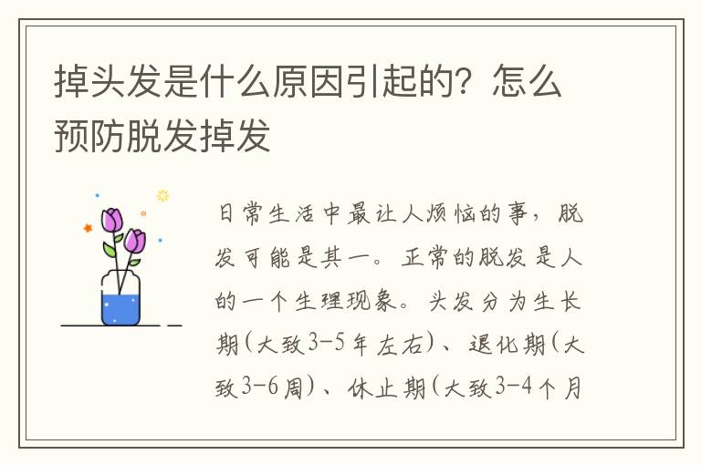 掉头发是什么原因引起的？怎么预防脱发掉发