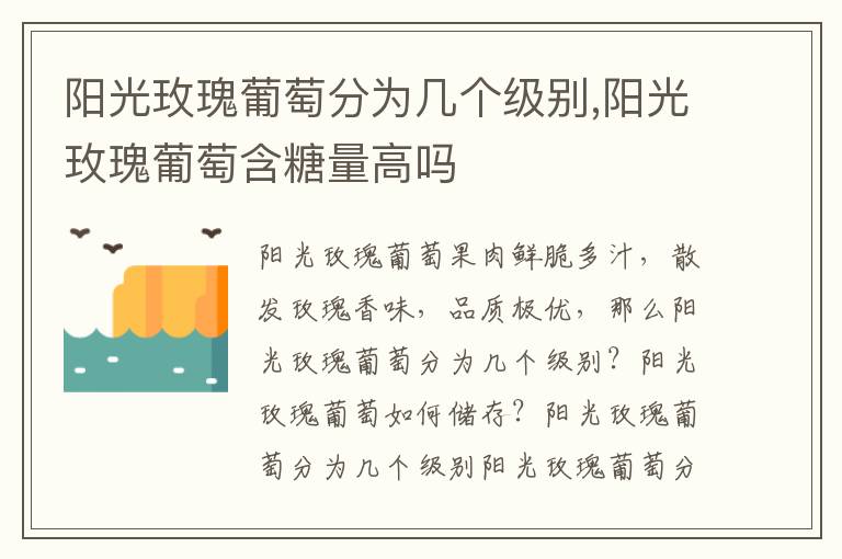 阳光玫瑰葡萄分为几个级别,阳光玫瑰葡萄含糖量高吗