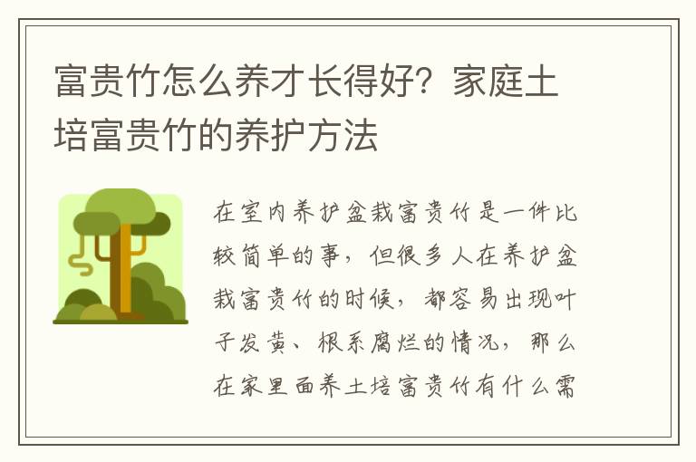 富贵竹怎么养才长得好？家庭土培富贵竹的养护方法