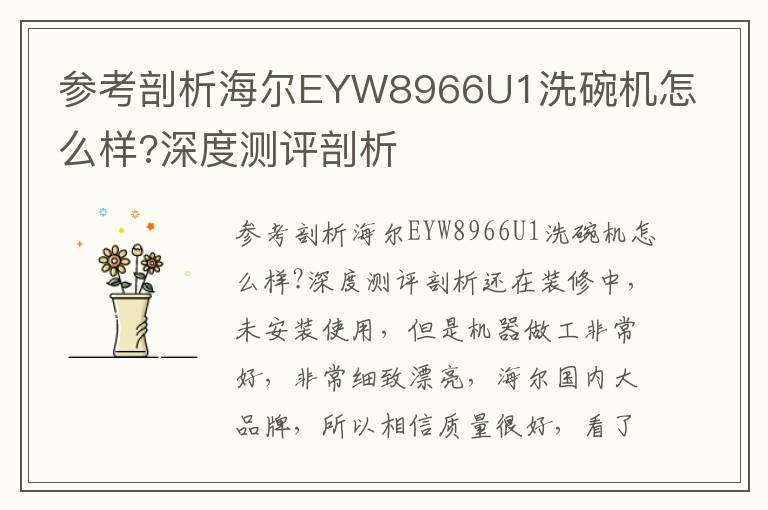 参考剖析海尔EYW8966U1洗碗机怎么样?深度测评剖析