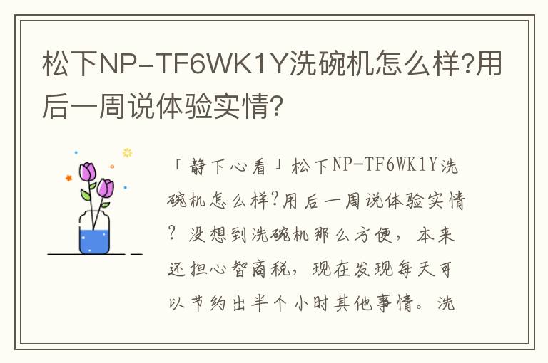 松下NP-TF6WK1Y洗碗机怎么样?用后